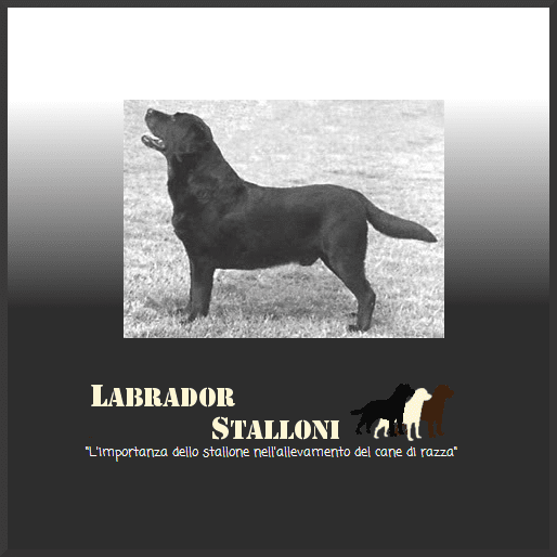 (c) Labradorstalloni.com